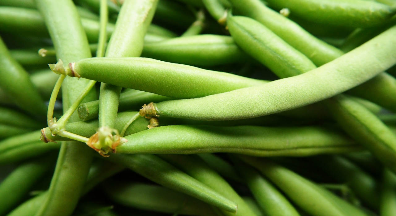 Beans – Huff Farm
